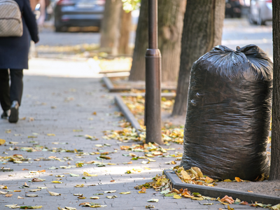 skip hire vs man and van london