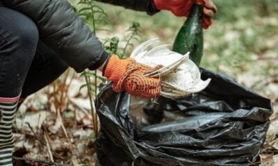 garden waste skip